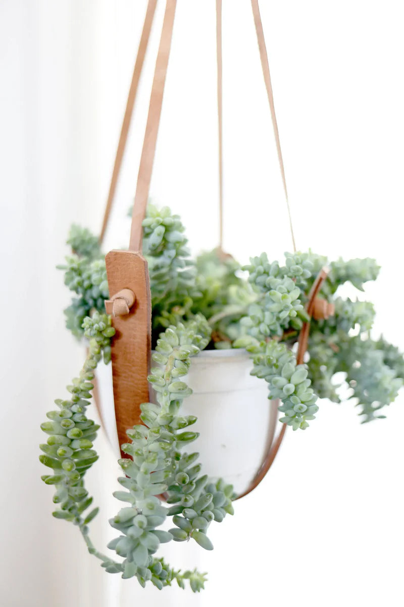 Leather Plant Hanger