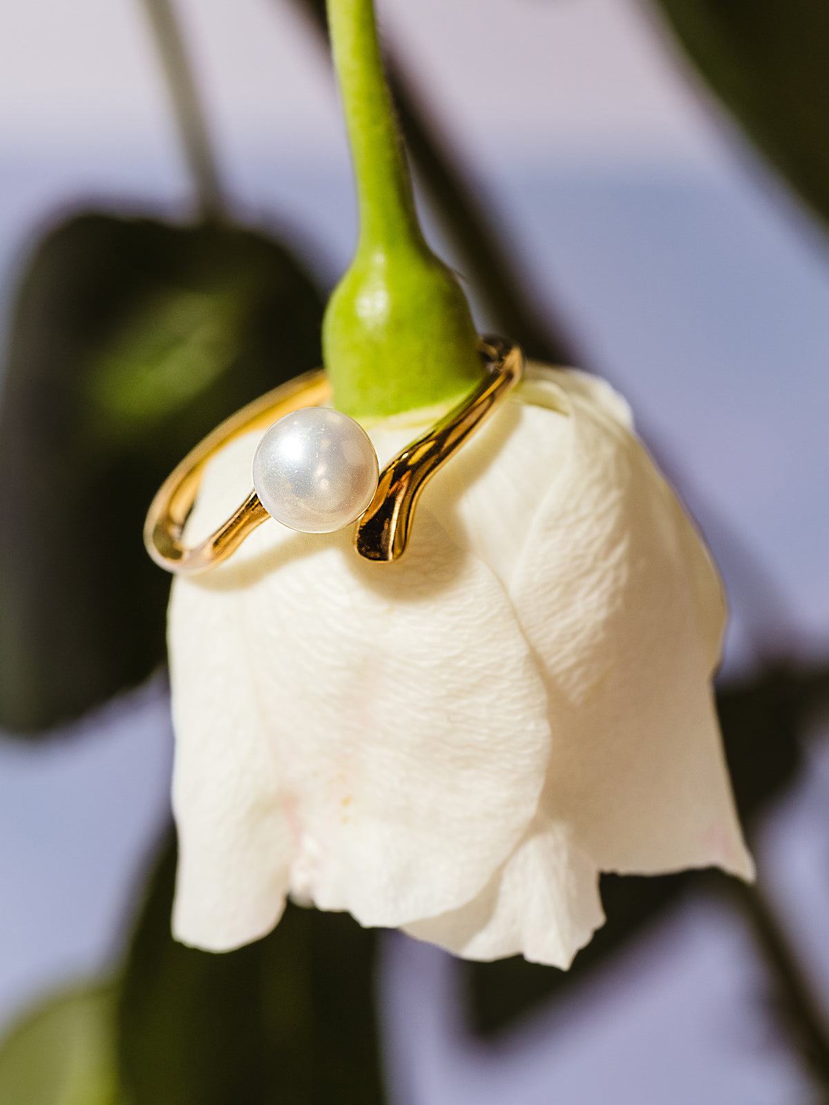 Milk & Honey Freshwater Pearl & Gold Ring