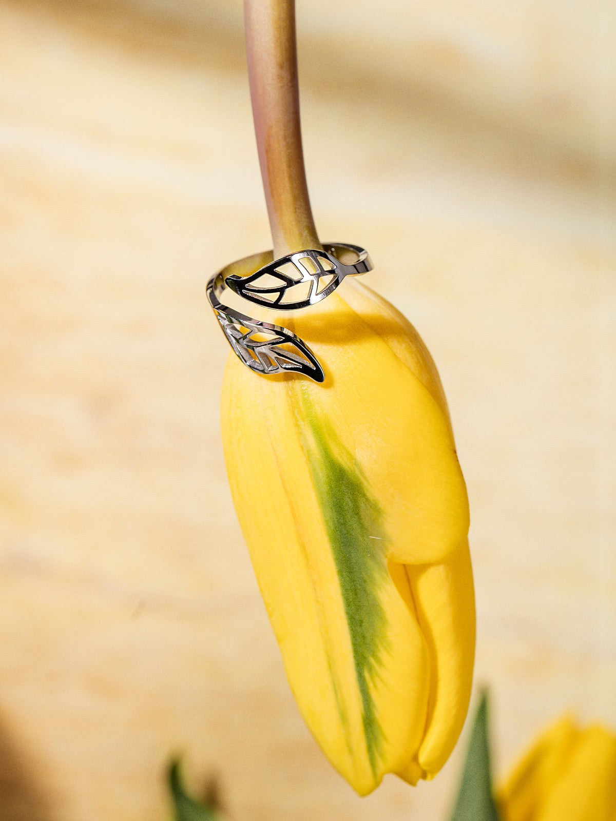 Restoring Peace Ring