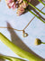 Desert Sunrise Gold Pendant Necklace