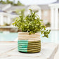 Court Colorblock Trio Mini Basket