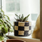Margaret Mini Basket