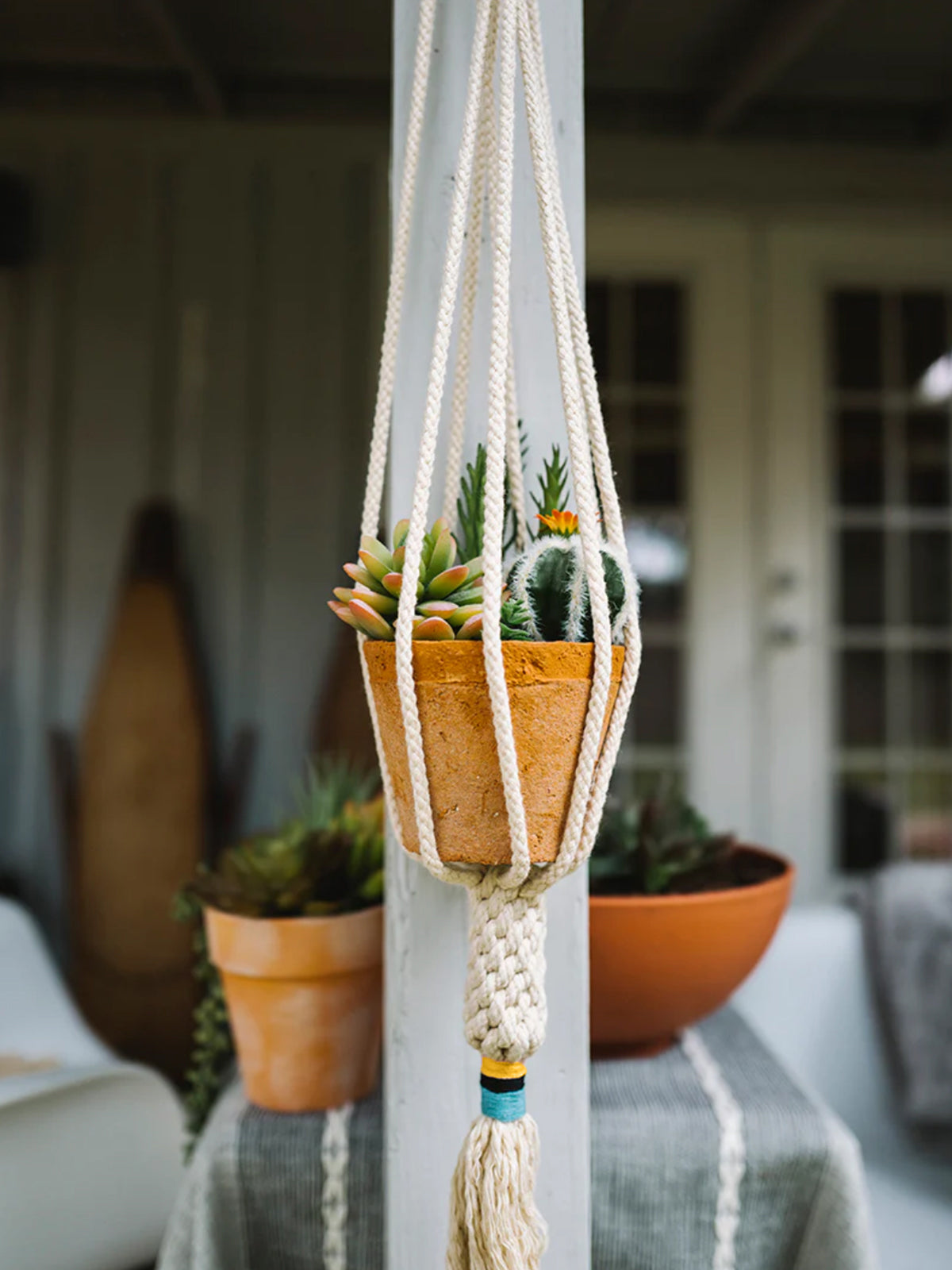 Dignity Plant Hanger