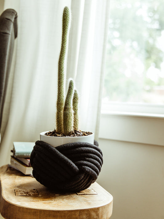Unbound Black Rope Planter