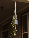 Dignity Plant Hanger