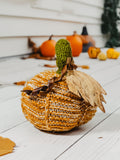 Crocheted Pumpkin