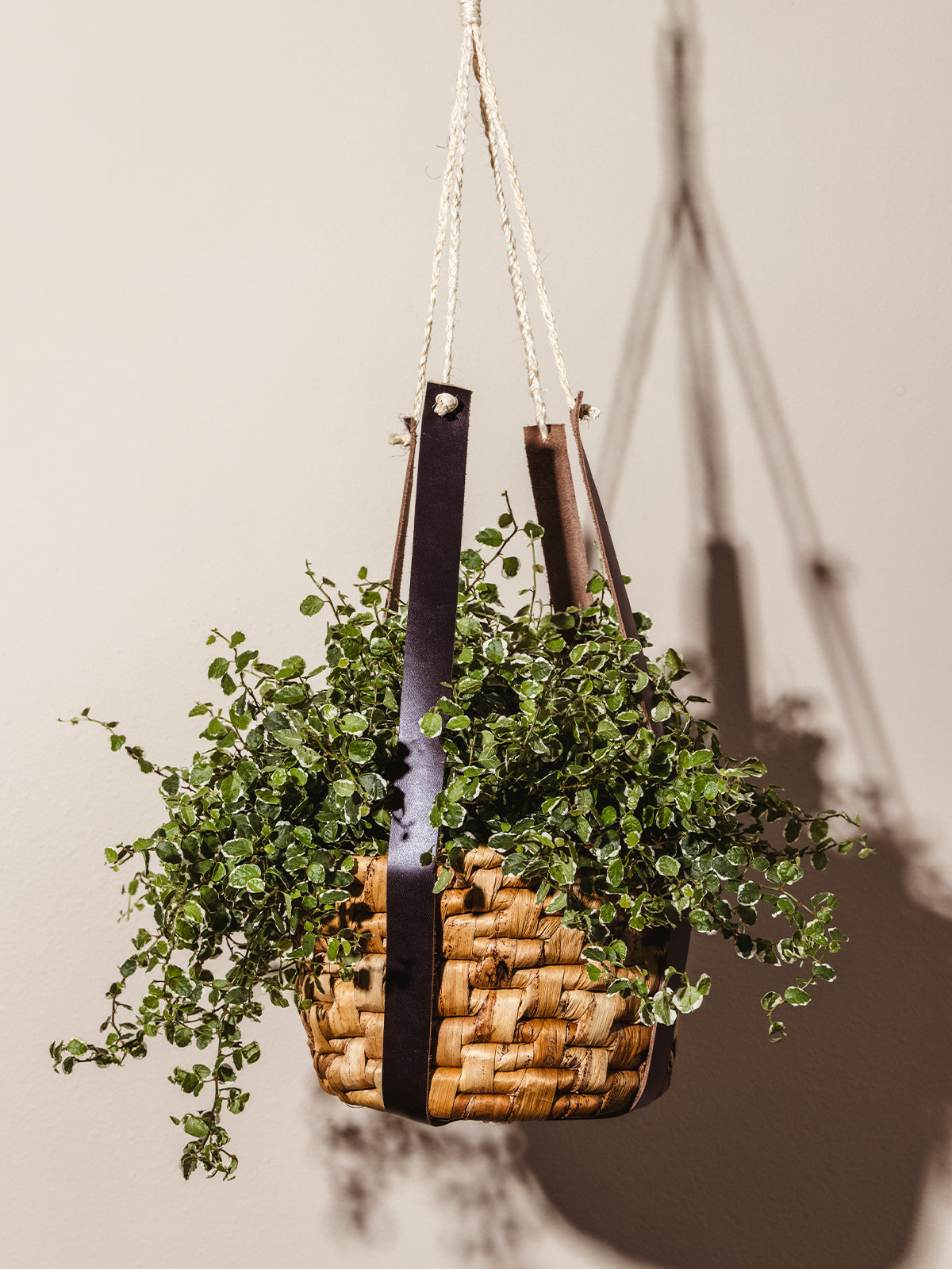 Leather Hanging Plant Basket