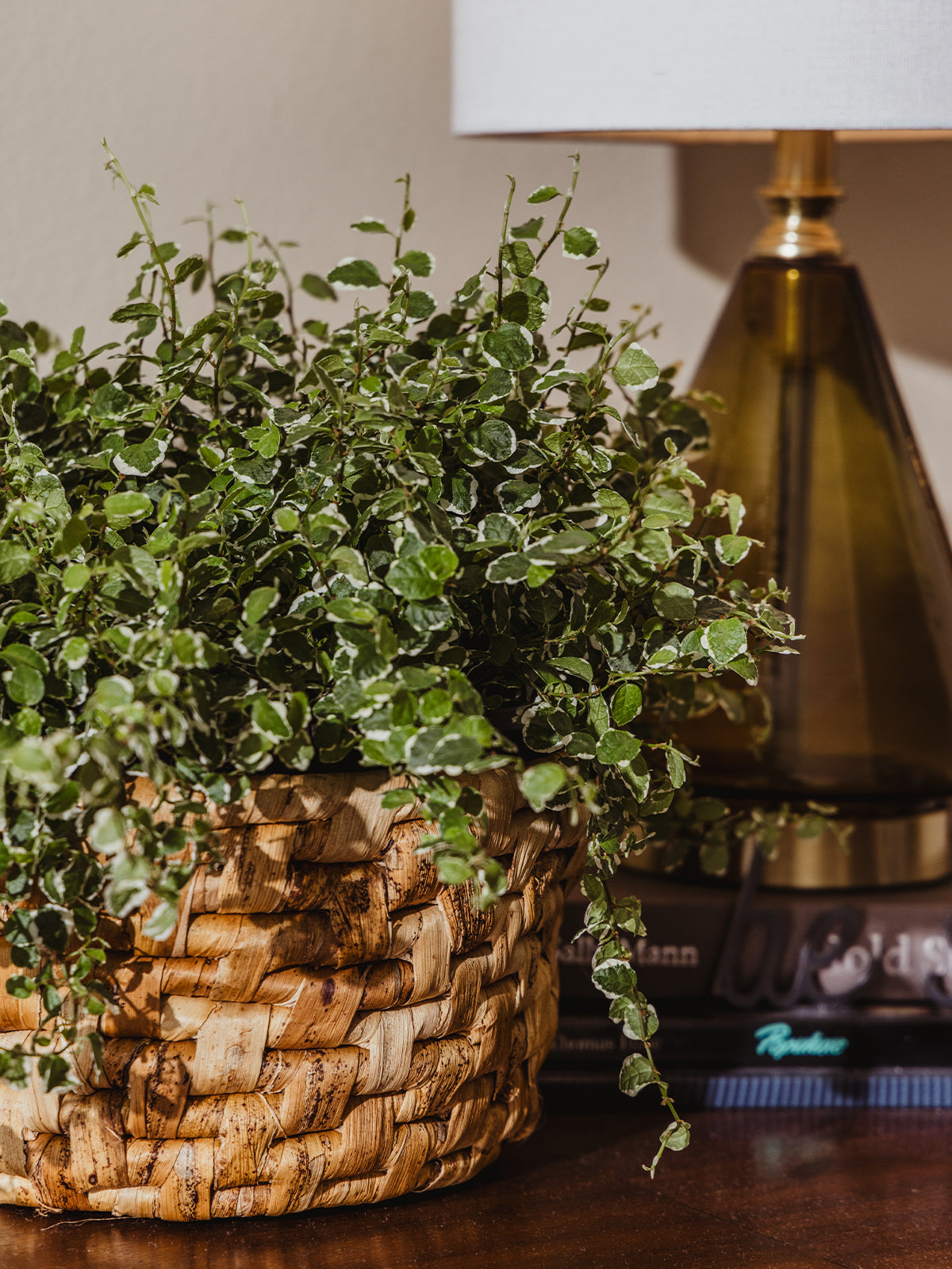 Leather Hanging Plant Basket