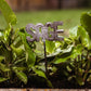Mini Herb Garden Stakes