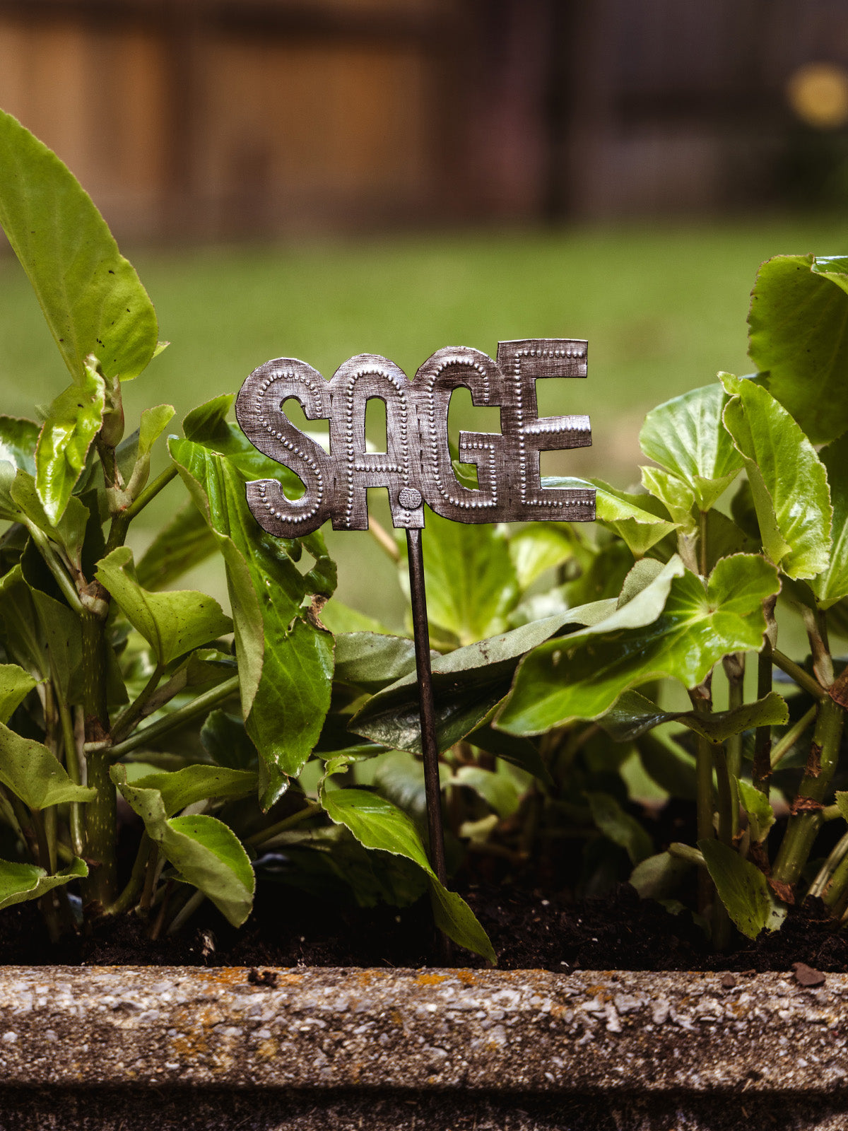 Mini Herb Garden Stakes