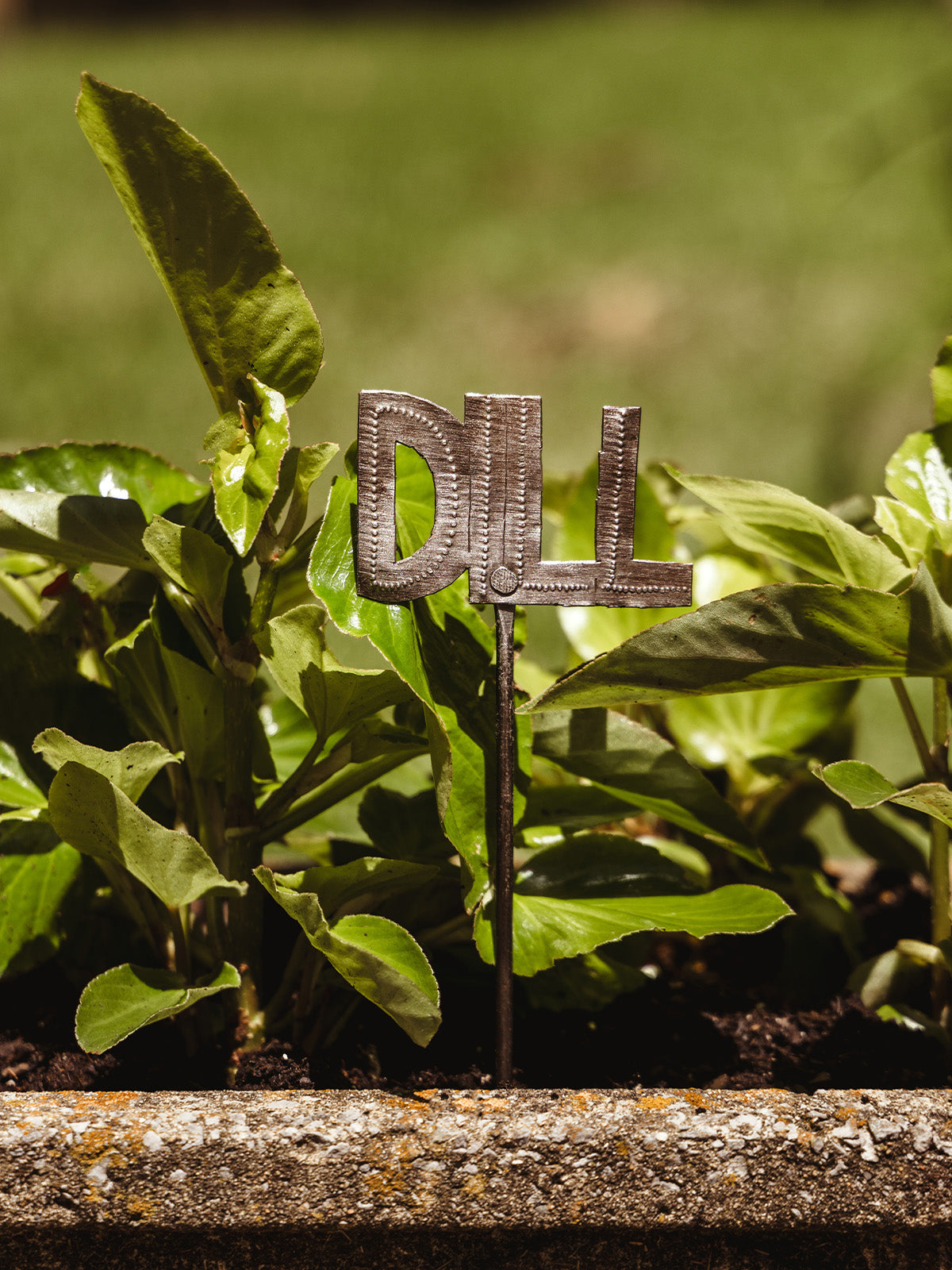 Mini Herb Garden Stakes