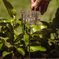 Mini Herb Garden Stakes