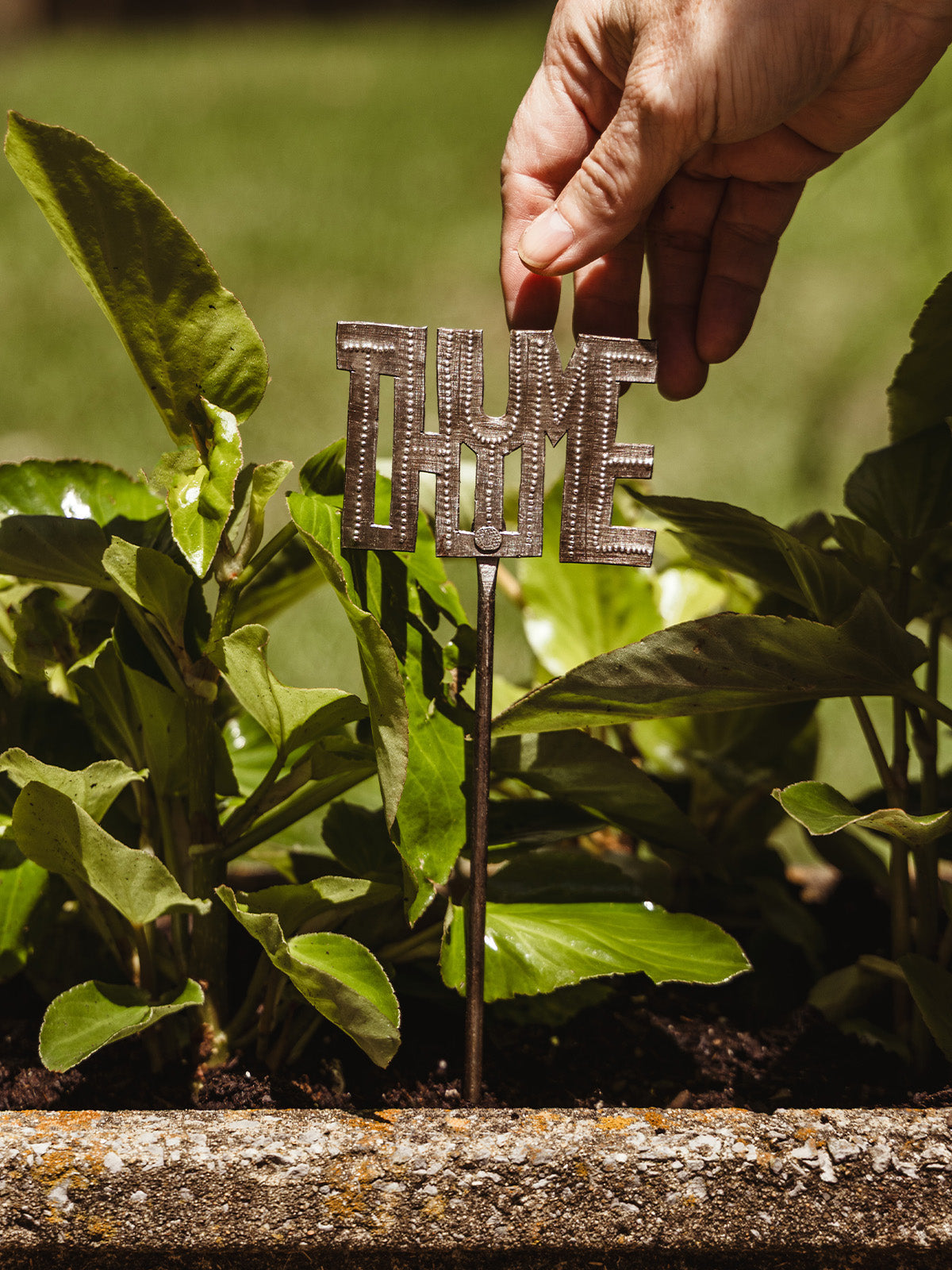 Mini Herb Garden Stakes