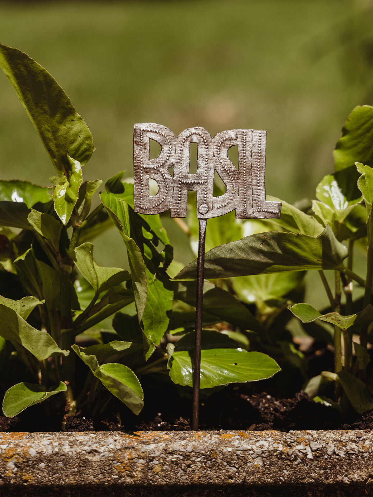 Mini Herb Garden Stakes