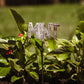 Mini Herb Garden Stakes
