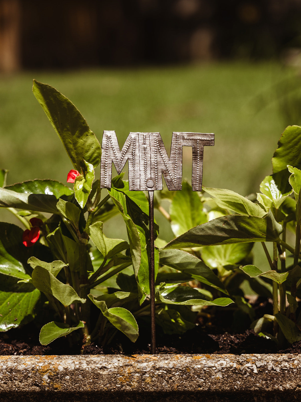 Mini Herb Garden Stakes