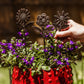 Floral Garden Stakes (Set of 3)