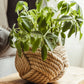 Unbound Jute Rope Planter