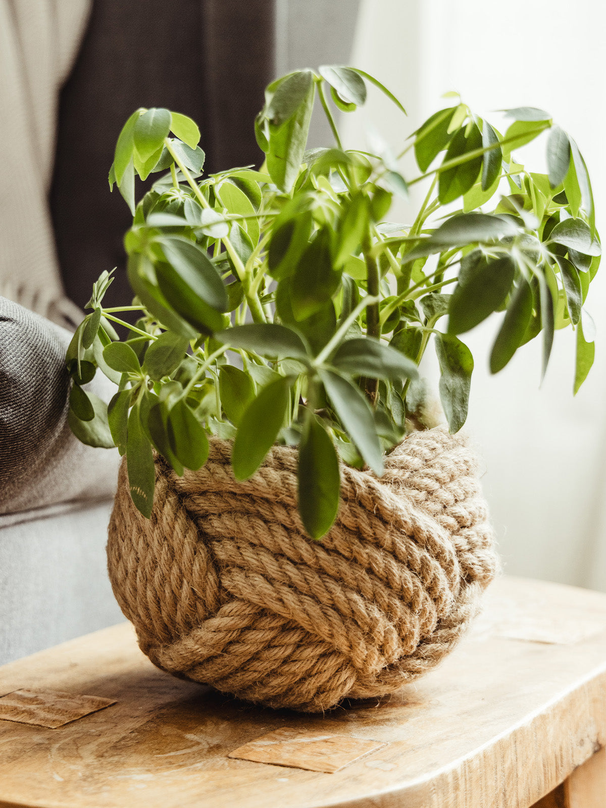 Unbound Jute Rope Planter