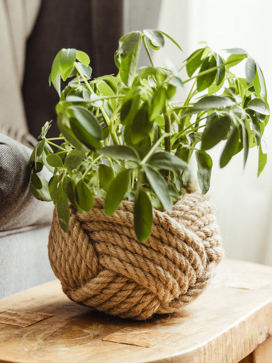Unbound Jute Rope Planter