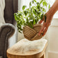 Unbound Jute Rope Planter