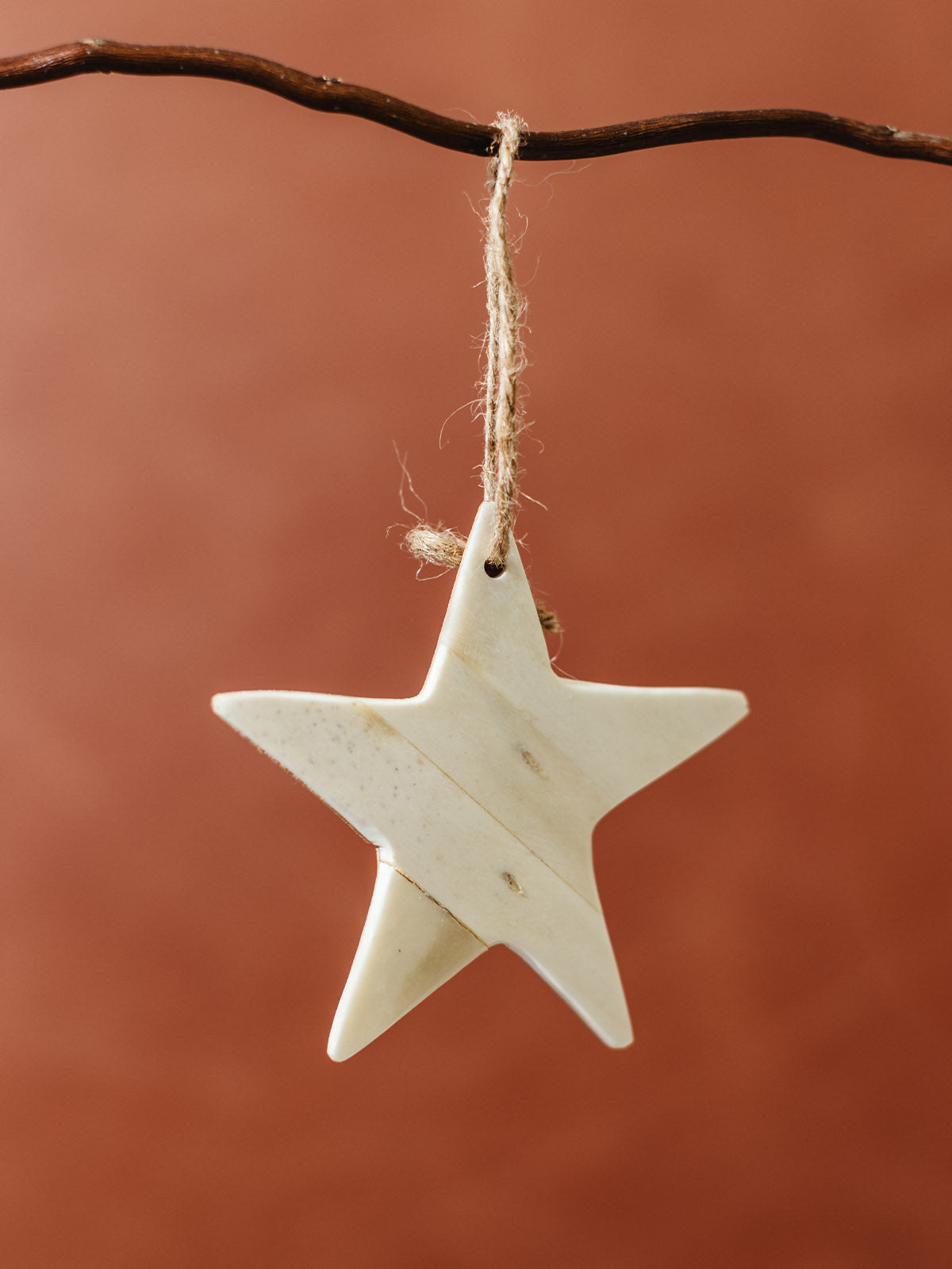 Handmade Bone & Wood Ornament Set