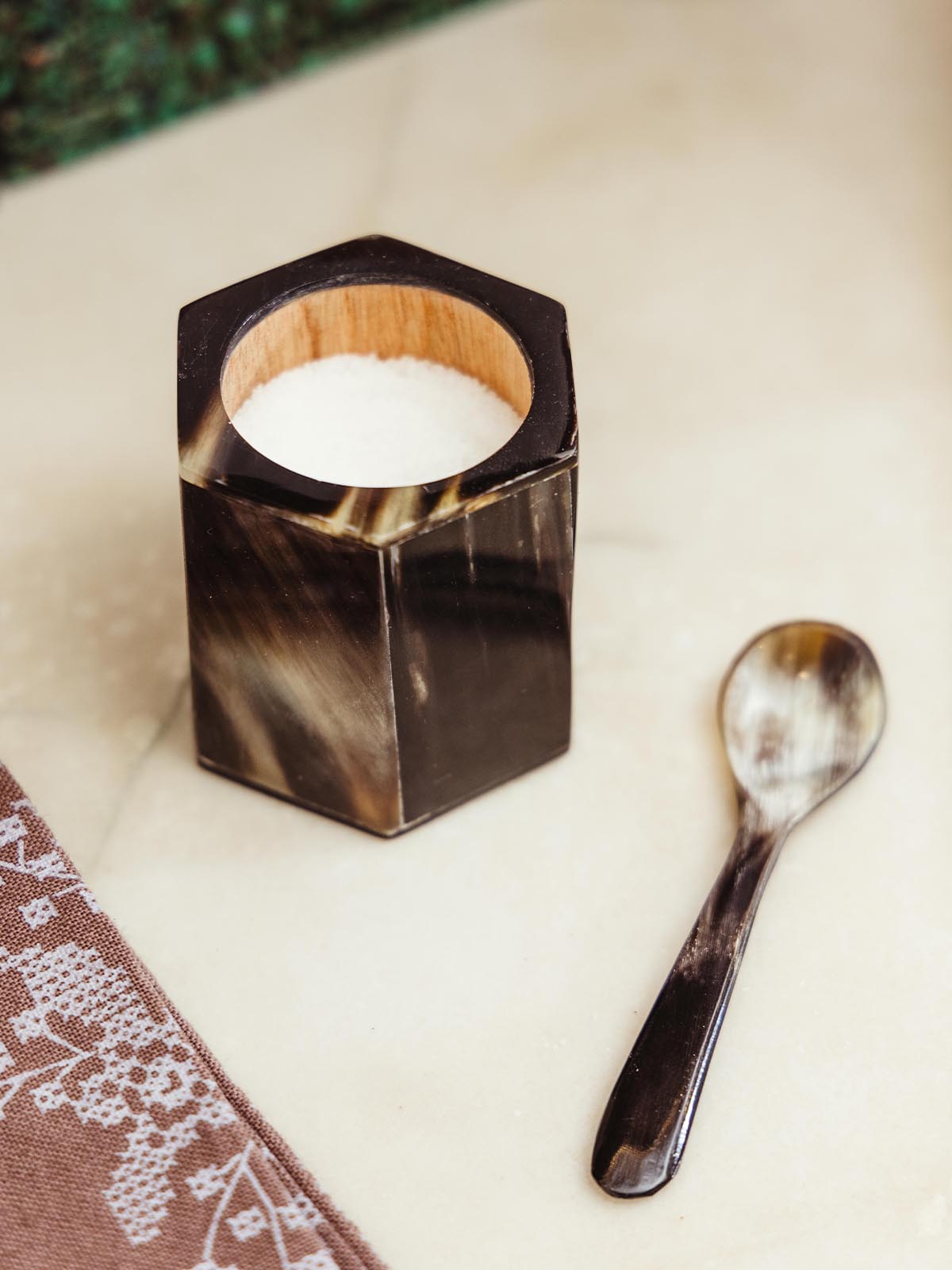 Horn Salt Well with Spoon