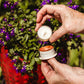 Glimmer Bright Iron Candle Lantern