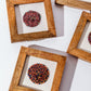 Bunai Sari Framed Art